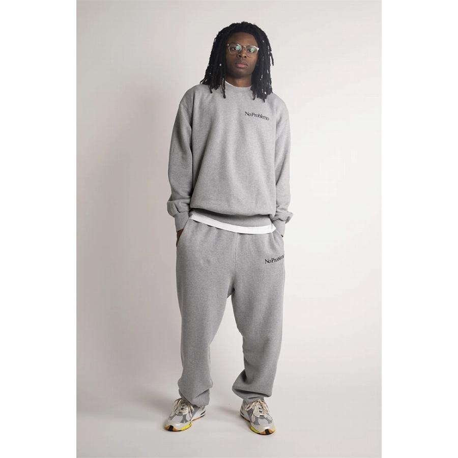 アリーズ No Problemo アシッドウォッシュ加工スウェットシャツ bonjour records(ボンジュールレコード) / 【ARIES/アリーズ