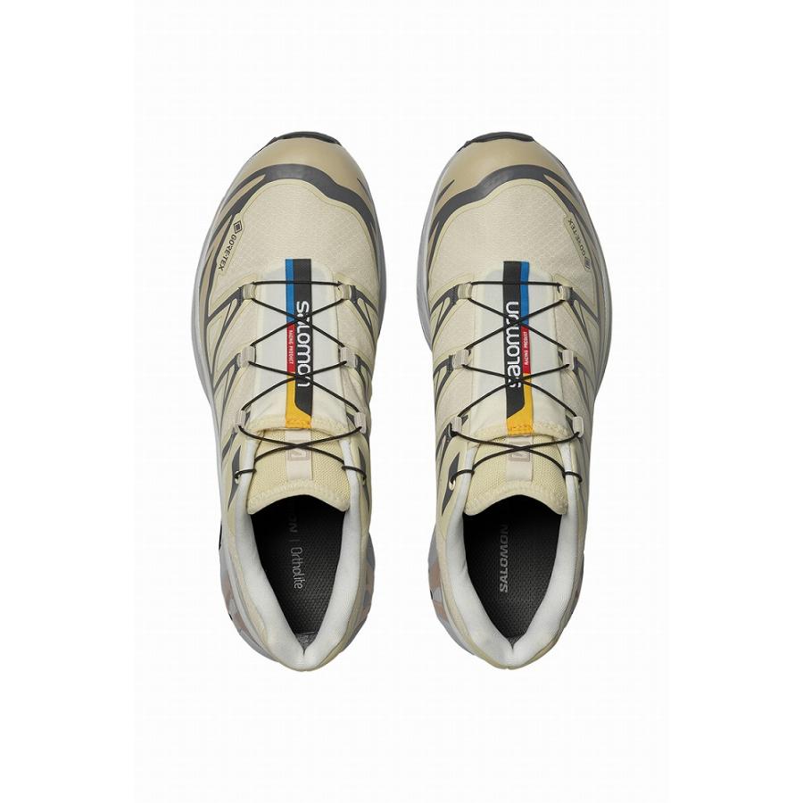 SALOMON（サロモン） XT-6 GTX Almond Milk/Feather Gray/Pale Mauve