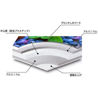 アルミ看板 283x405mm 看板 プレート アルミ複合板 駐車場 看板 屋外 片面【データ入稿】■月極駐車場 駐車場 オープン クローズ 店舗用 立ち入り禁止 |  | 02