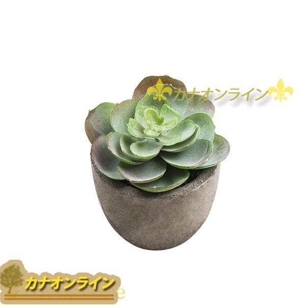 植物のための4pcsの陶磁器の鉢 家の装飾のための多肉植物の鉢 【国際ブランド】 15種類のスタイルの人工多肉植物,ミニ盆栽,カラフルな植物,家と庭の装飾,diy