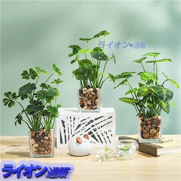蓮 オモト 人工観葉植物 鉢植え ベランダ 3点セット フェイクグリーン リアル オフィス用 リビング 新生活 卒業祝い 子供部屋 装飾用 Zzxpcdrxhm Chicagocriminaldefenselawyersblog Com