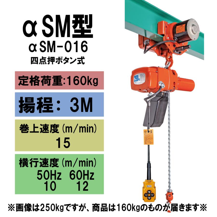 象印（ZOJIRUSHI） αSMTSB型 電気トロリ結合式小型電気チェーン 