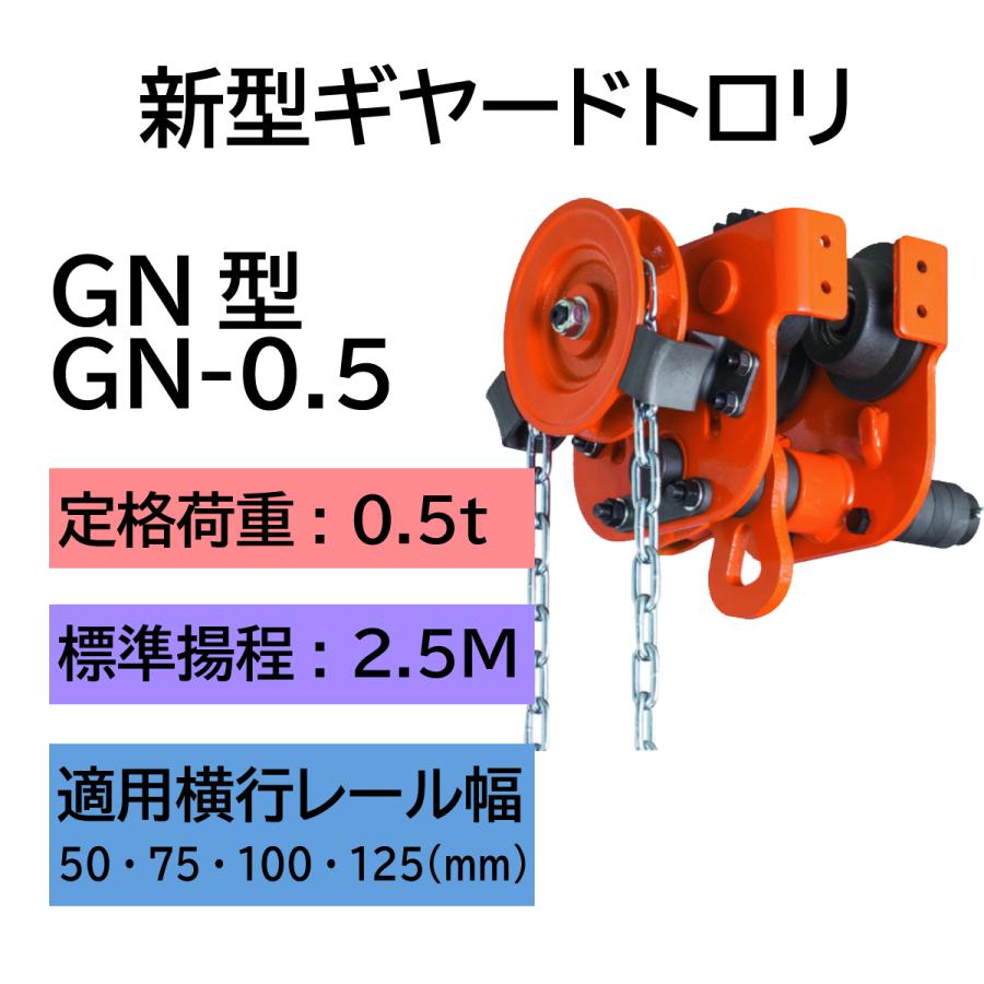 象印 ギヤードトロリ式電気チェーンブロック DAG-0.5-3M 2P200V (DAG-00530) 象印 ギヤードトロリ