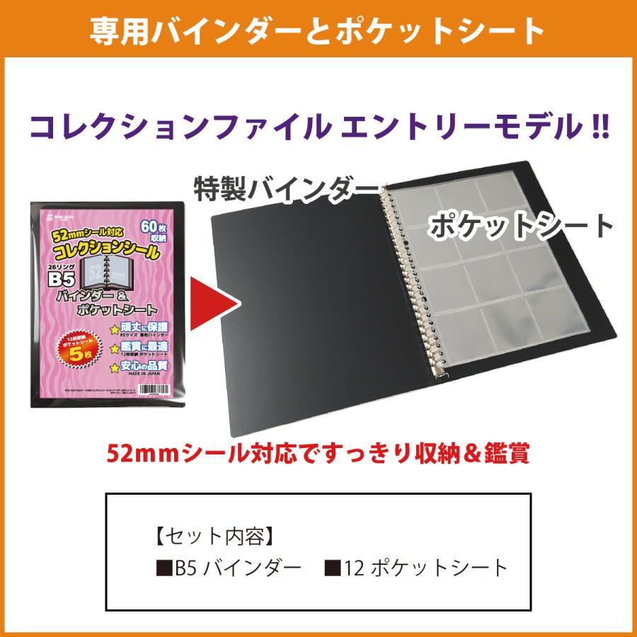 52mmシール 対応 B5 ファイル (60枚収納) バインダー＆ポケットシート 