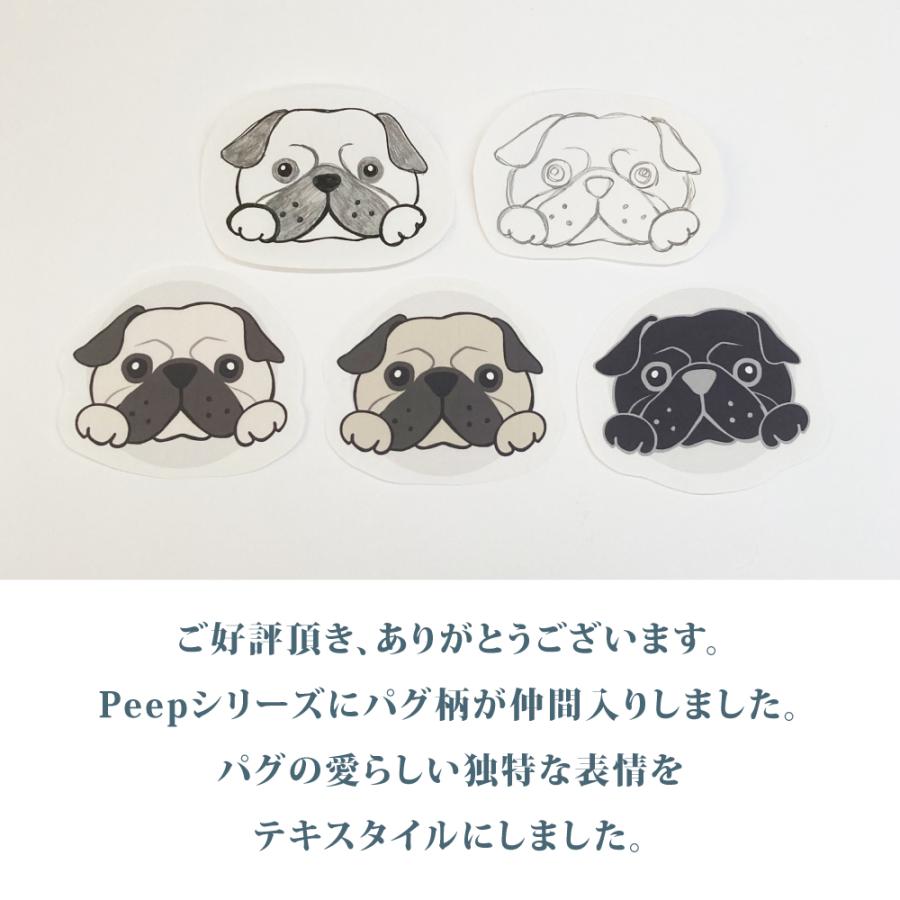 バスプロショップス　カモ柄　多機能ポーチ　レア物 バスプロショップス カモ柄 多機能ポーチ レア物