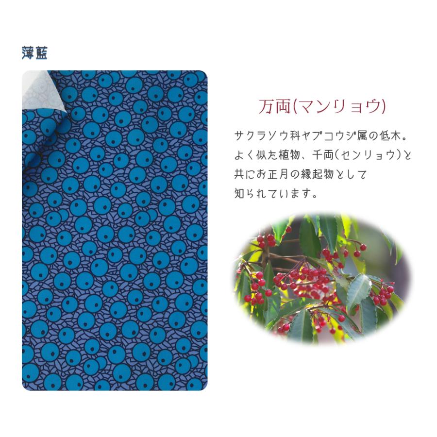 万両 国産オックス/ブロード/シーチング/ダブルガーゼ/ローン/11号帆布 RIEKA | ブランド登録なし | 15