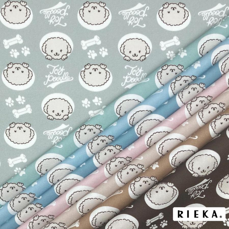 Dogタイプ別トイプードル オフホワイト 国産オックス/ブロード