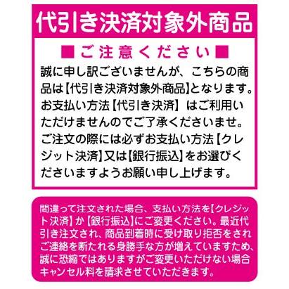 【新品2点】ニンテンドーDSi本体マットブルー海外北米版+キングダムハーツ358_1