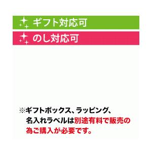 ワイン 赤ワイン シャトー・サン・ピエール 2018年 フランス ボルドー