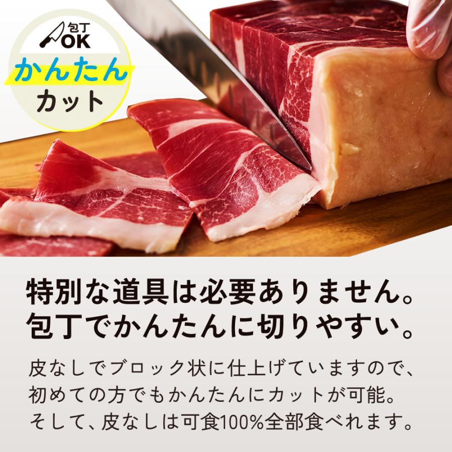 生ハム原木 30ヶ月熟成アンダルシアポーク・ブロック（生ハムのミニ原木） スペイン カタルーニャ 生ハム 約280g 【こだわり食品】 爆買 ...