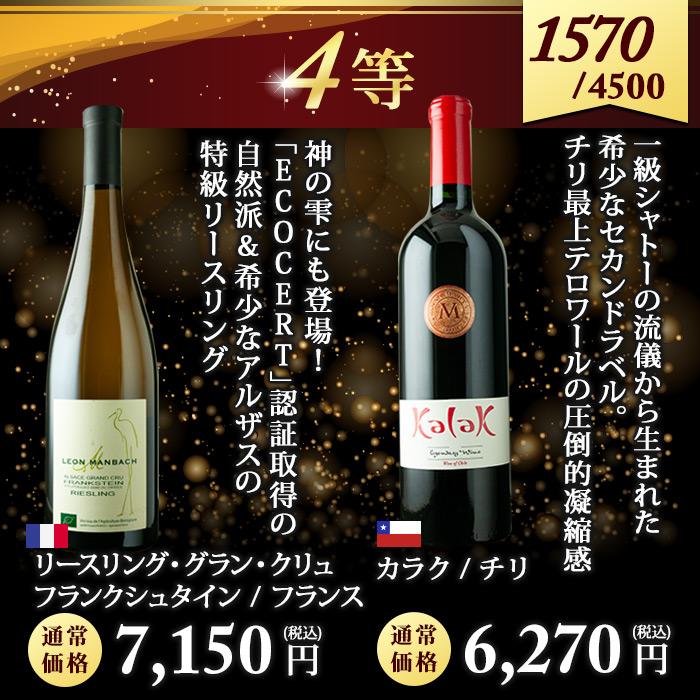 ワイン ワインくじ【WEB限定】数量・期間限定 総決算ワインくじ