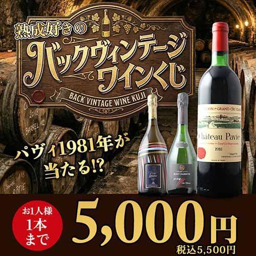 熟成好きのためのバックヴィンテージワインくじ : ワインショップ