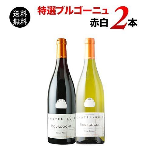 ブルゴーニュワイン　赤、白2本セット ソムリエ厳選ギフト ブルゴーニュ赤・白ワイン2本セット 送料