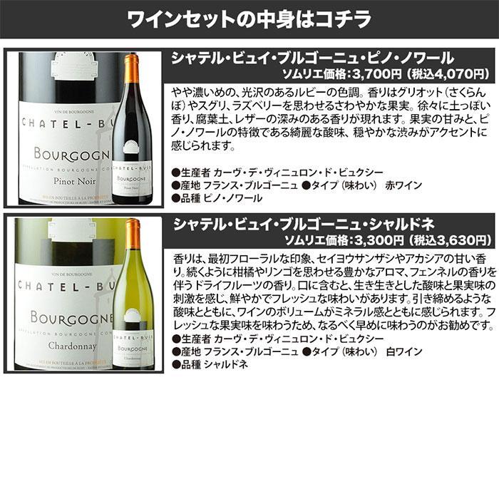 ワイン ワインセット 特選ブルゴーニュ赤白2本セット 送料無料 赤1本