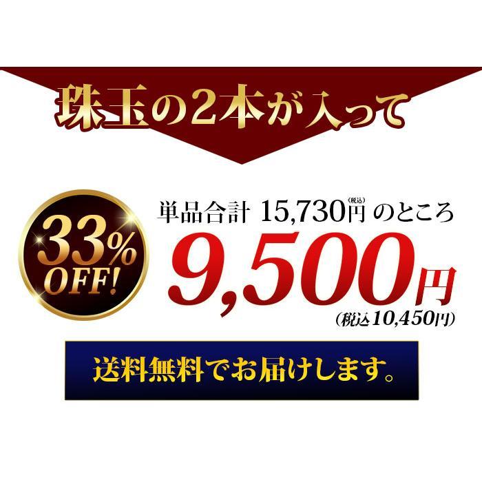 ワイン ワインセット 赤ワイン 新旧生産地飲み比べ赤2本セット 送料無料「2/3更新」 爆買