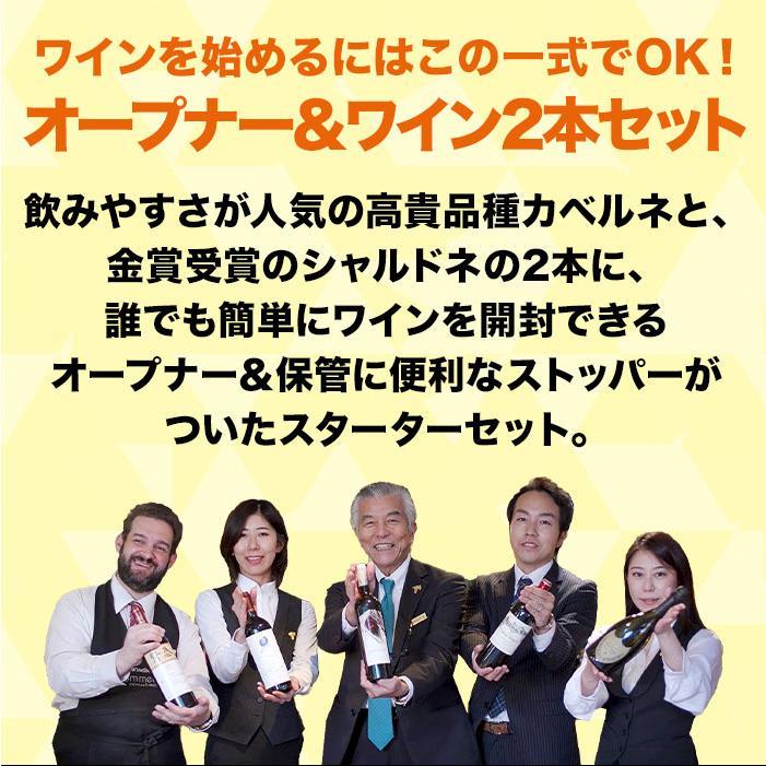 ワイン ワインセット オープナー＆ストッパー付！赤白2本スターター