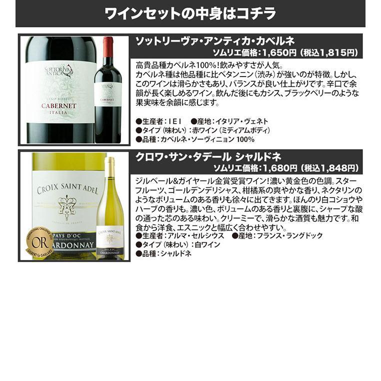 ワイン ワインセット オープナー＆ストッパー付！赤白2本スターター
