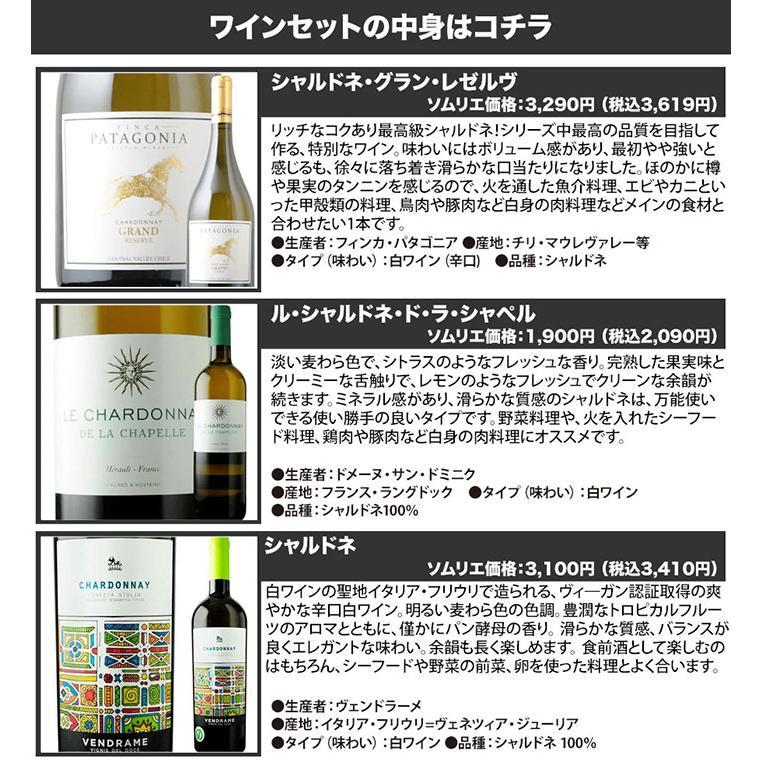 ワイン ワインセット 白ワイン代表品種・シャルドネ3本セット 白ワイン