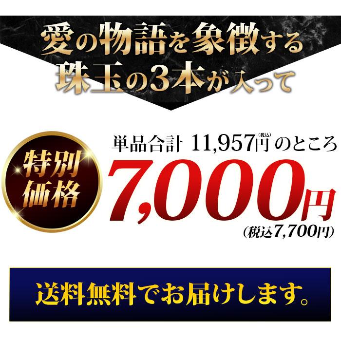 ワイン ワインセット 赤ワイン 雄大なアンデスを舞台にワインで紡ぐ愛の物語 マーティー・ロマンティックコフレ 送料無料 赤ワイン3本セット｜wsommelier｜05