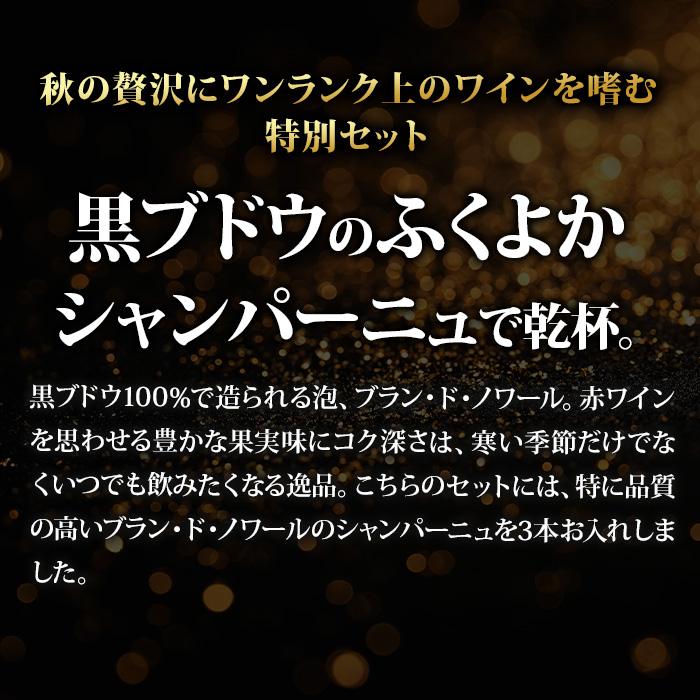 ワイン ワインセット これからの季節に。コクありブラン・ド・ノワール3本セット 送料無料 爆買 |  | 02