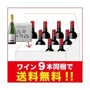 ワイン　スパークリングワイン　5本セット ワイン ワインセット スパークリングワイン 専門店発のプレミアム