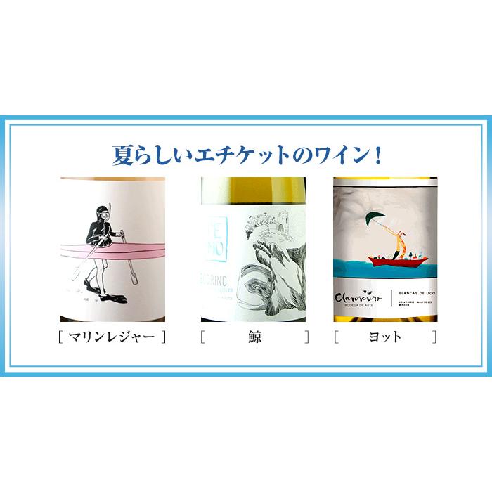 ワイン ワインセット ミックス　夏のジャケ買いワイン3本セット　sommelier midsummer collection　爆買 お中元 |  | 03