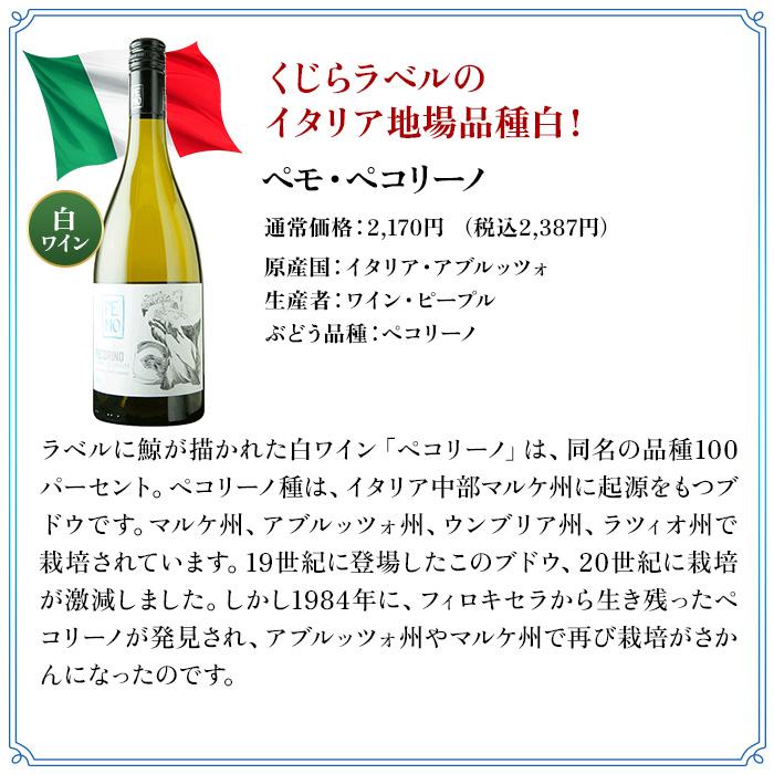 ワイン ワインセット ミックス　夏のジャケ買いワイン3本セット　sommelier midsummer collection　爆買 お中元 |  | 05