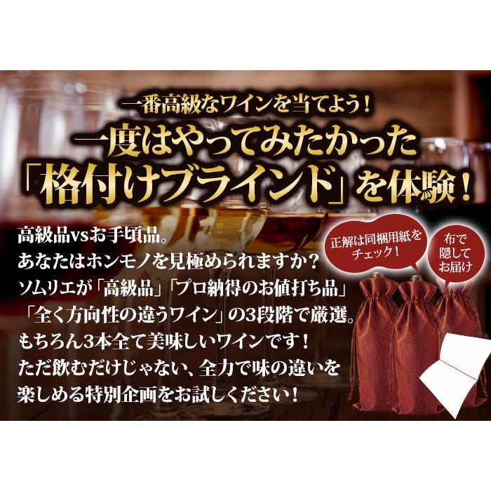 ワインセット ソムリエ格付けブラインド　赤3本 |  | 02