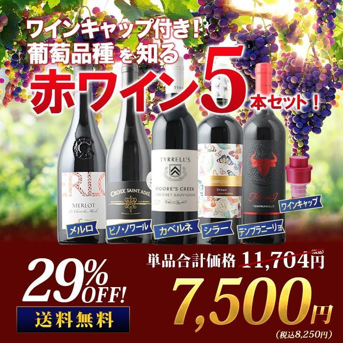 赤ワイン5本セット ワイン ワインセット ワインキャップ付き！ブドウ品種を知る赤ワイン5