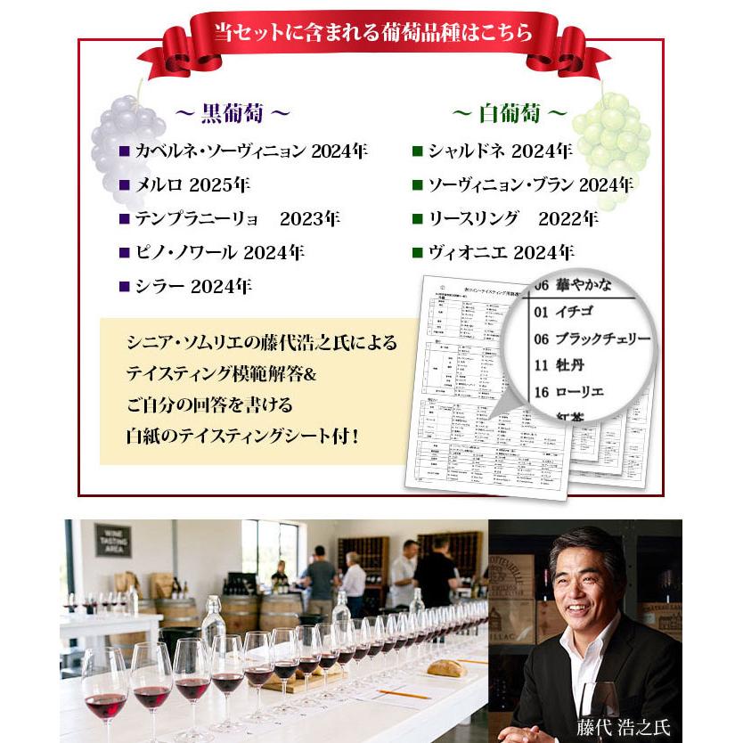 ワイン ワインセット ミックス 【実践テイスティングシート&回答付