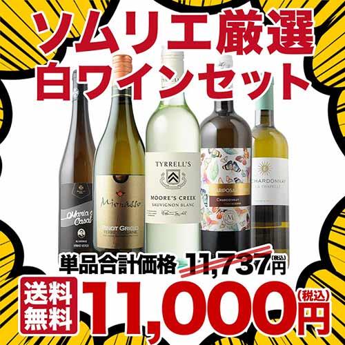 ※【ソムリエ５点セット】 ワイン ワインセット 白ワイン 当店ソムリエ厳選ワインセット（白