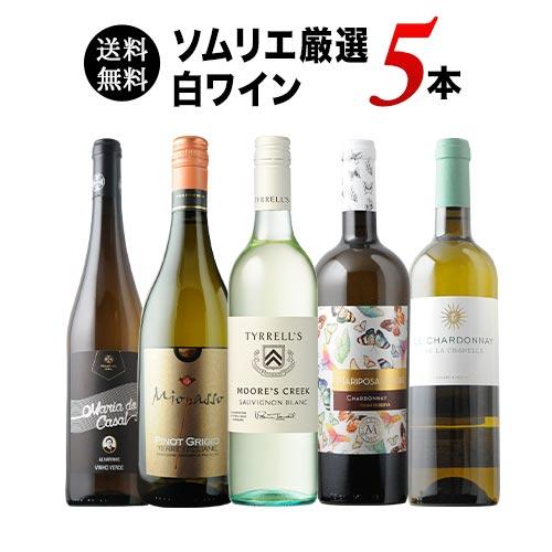 ワイン ワインセット 白ワイン 当店ソムリエ厳選ワインセット（白