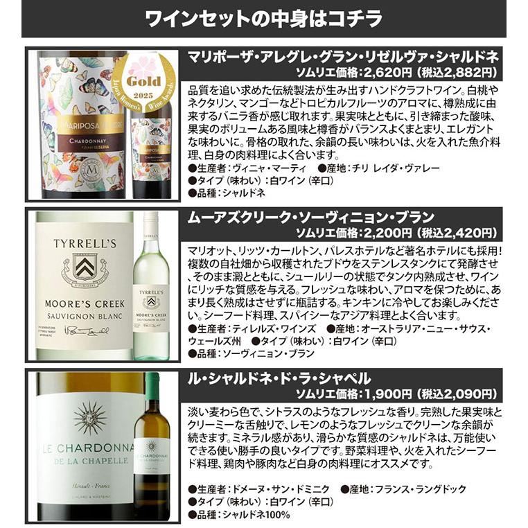 ワイン ワインセット 白ワイン 当店ソムリエ厳選ワインセット（白