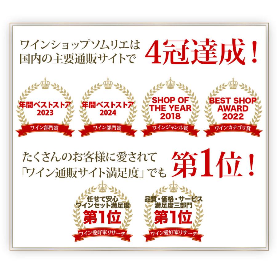 ワイン ワインセット 白ワイン 当店ソムリエ厳選ワインセット（白
