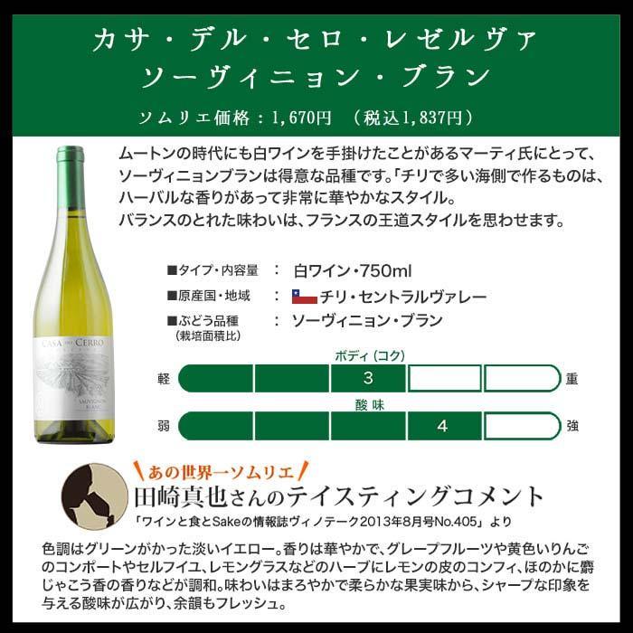 ワイン ワインセット 金賞ボルドーと五大シャトー醸造家ワイン5本