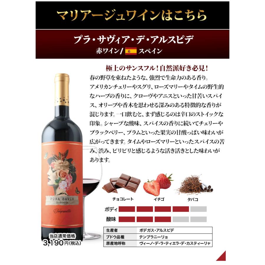 クール便限定！「13」イベリコ豚上級ランク　ベジョータ30ヵ月熟成生ハムと最優秀醸造家スペイン赤ワインセット |  | 10