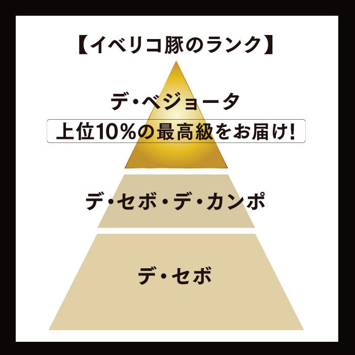 クール便限定！「13」イベリコ豚上級ランク　ベジョータ30ヵ月熟成生ハムと最優秀醸造家スペイン赤ワインセット |  | 08