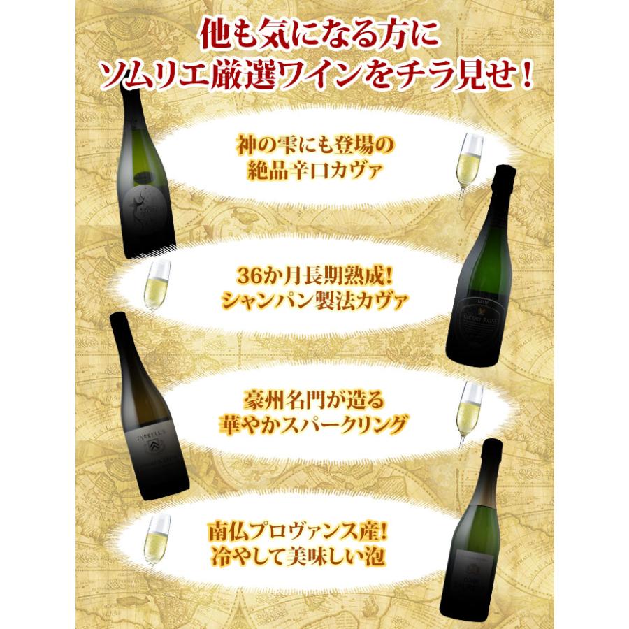 ワイン ワインセット スパークリングワイン 秘密のアウトレット泡