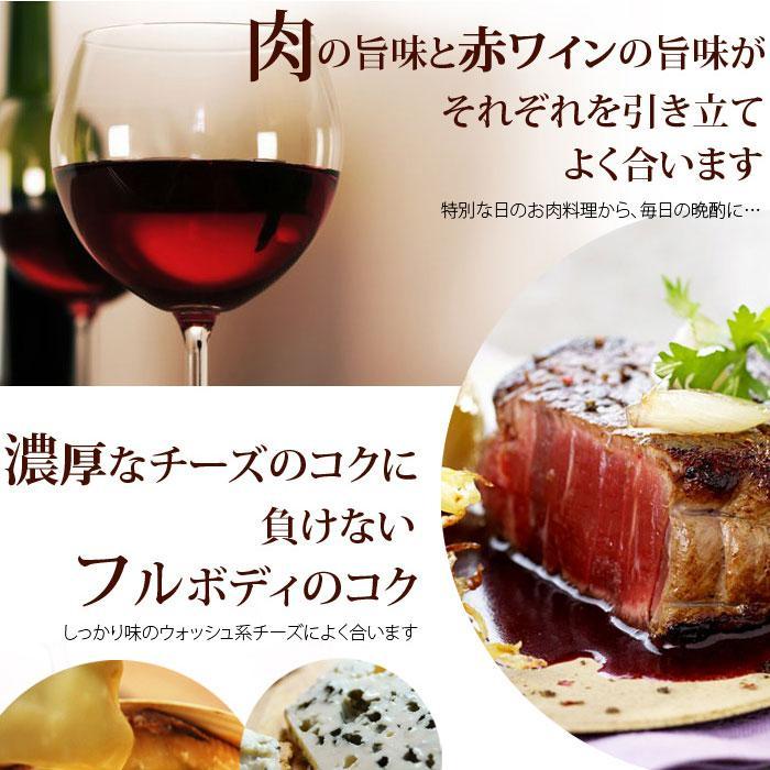 ワイン ワインセット 赤ワイン カリフォルニア入り！ワンランク上のフルボディ赤ワイン5本セット 第59弾 送料無料「4/10更新」 爆買 |  | 03