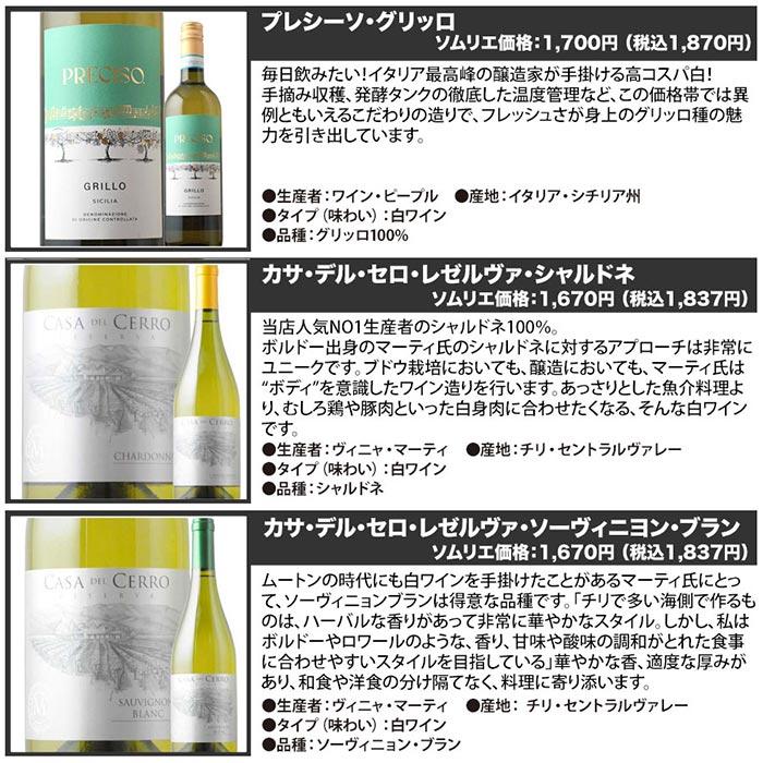 ワイン ワインセット 白ワイン 辛口白ワイン6本セット 第92弾 送料無料
