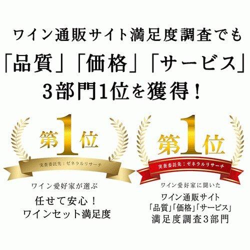 ワイン ワインセット 赤ワイン 金賞ボルドー＆カリスマ醸造家　特選赤ワイン6本セット　送料無料「3/8更新」｜wsommelier｜09