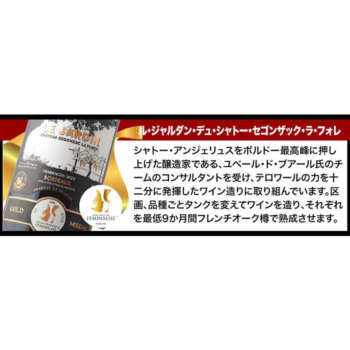 ワイン ワインセット 赤ワイン W金賞入り！全部金賞ボルドー赤ワイン12