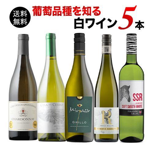 ワイン ワインセット 白ワイン 葡萄品種を知る白ワイン5本セット 送料無料「4/23更新」｜wsommelier｜02