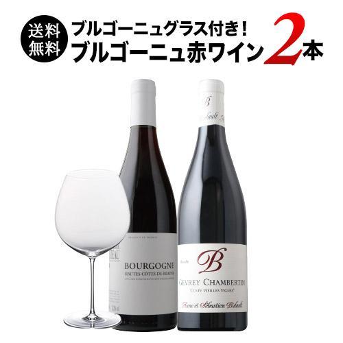 ワイン ワインセット 赤ワイン ブルゴーニュグラス付き！ブルゴーニュ