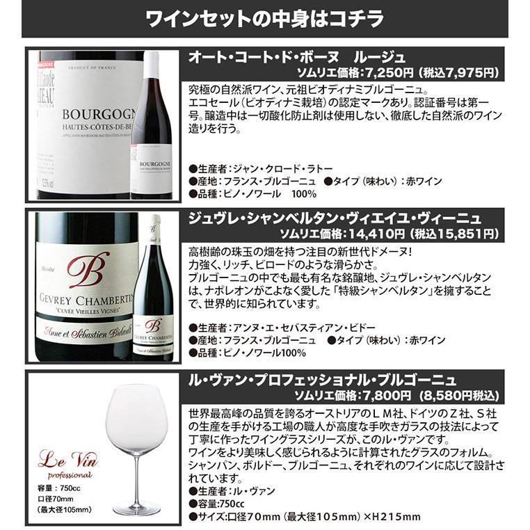 ワイン ワインセット 赤ワイン ブルゴーニュグラス付き！ブルゴーニュ