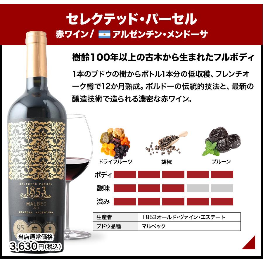 ワインセット 送料無料 アメリカ大陸縦断！新世界ワインの粋を極める赤