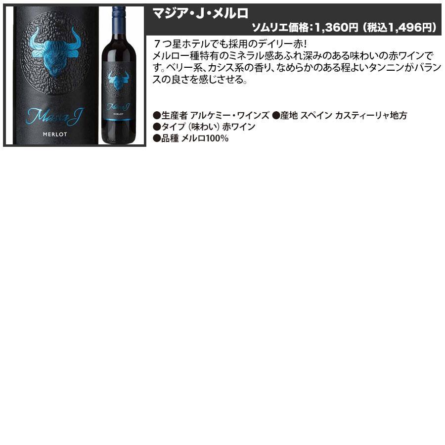 ワイン ワインセット 赤ワイン 世界7カ国の赤ワイン7本セット 送料無料「4/26更新」｜wsommelier｜06