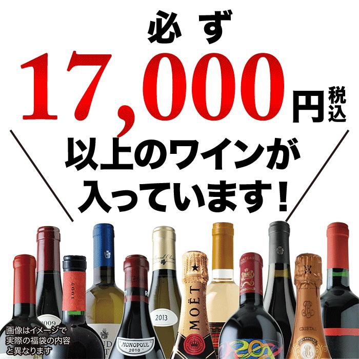 ワイン「4」ソムリエの究極お年玉福袋白6本セット 送料無料 白ワインセット｜wsommelier｜04