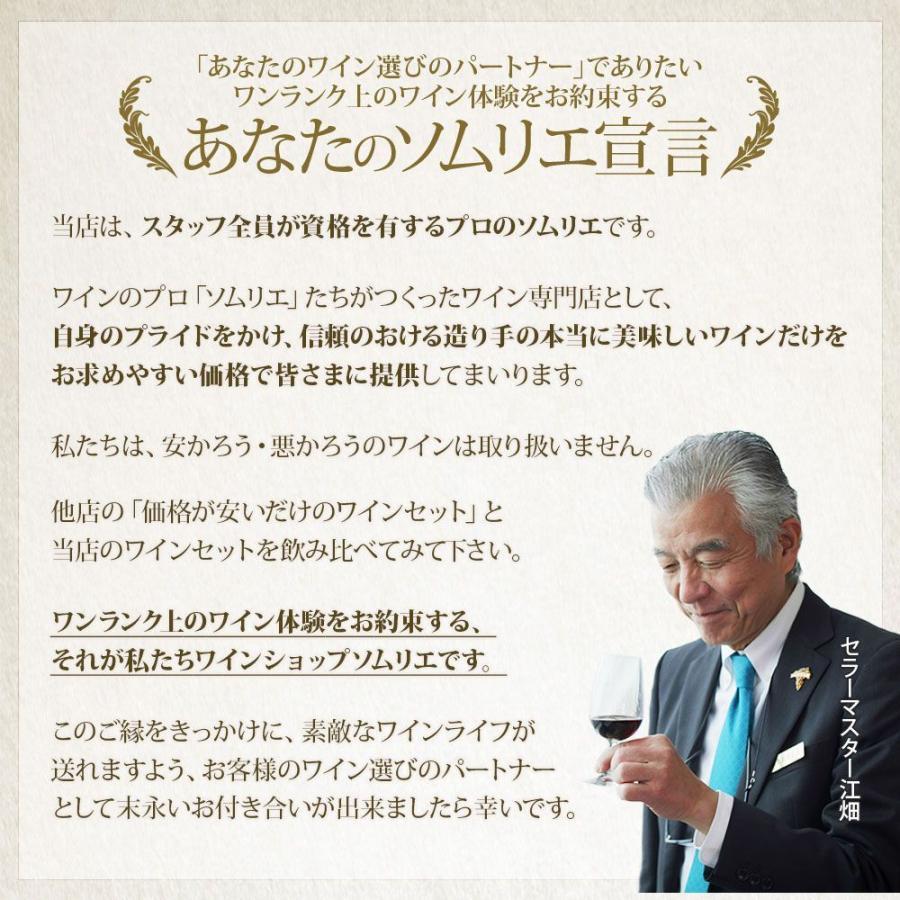 ワイン ワインセット 赤ワイン 全部金賞ボルドー赤ワイン12本セット 送料無料「6/3更新」｜wsommelier｜16