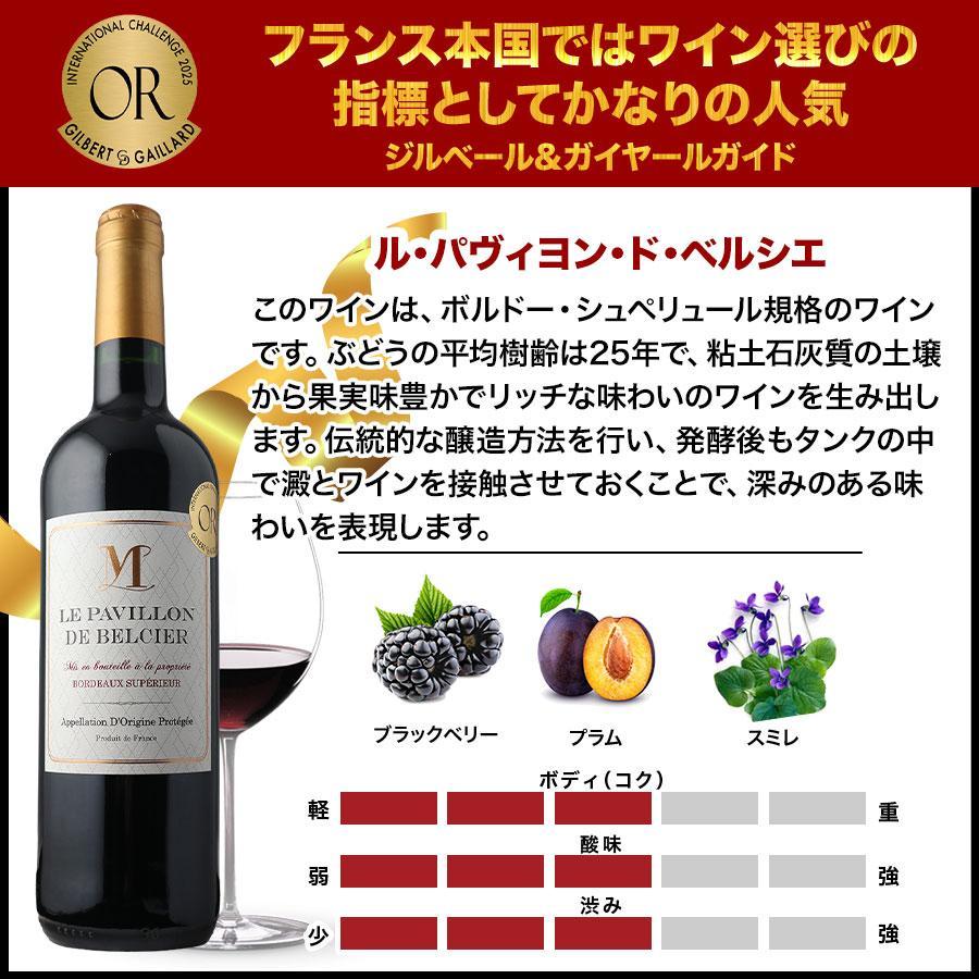 ワイン ワインセット 赤ワイン 17周年記念！金賞ボルドーと元五大